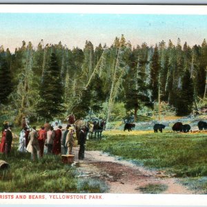 c1910s Yellowstone Park, WY Crowd Tourists & Bears J.E. Haynes Photo #13054 A226