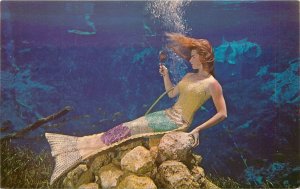 Postcard Florida Weeki Wachee Amusement Mermaids Natural Color 23-342