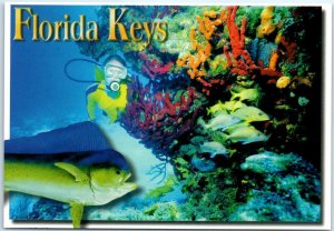 Postcard - The Exciting Underwater Word in the Florida Keys, Florida