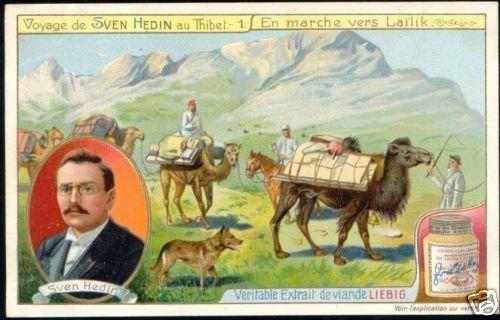 tibet thibet, Explorer Hedin, Laïlik (1908) Trade Card