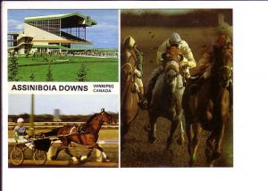 Assiniboia Downs, Winnipeg, Manitoba, Horse Racing