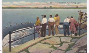 Pennsylvania Pymatuning View From The Fish Bowl Curteich