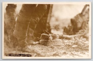 AZ Rattle Snake An Arizona Rattler RPPC Postcard J22