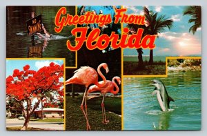 Florida's Many Attractions: Sunshine, Beauty, & Fun Vintage Postcard 0928