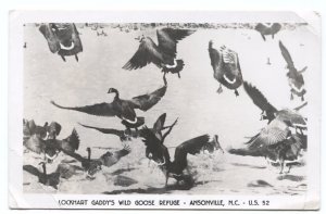 RPPC Postcard Lockhart Gaddy's Wild Goose Refuge Ansonville NC