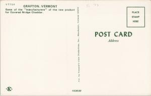 Grafton Vermont VT Covered Bridge Cheddar Cheese Cows Cattle Postcard D82