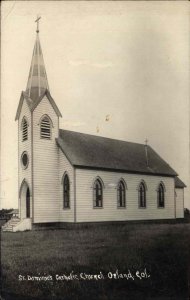 Belleview Florida FL Lake Lillian c1910 Vintage Postcard