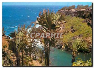 Modern Postcard Reunion Island Sainte Rose The very beautiful coastal region