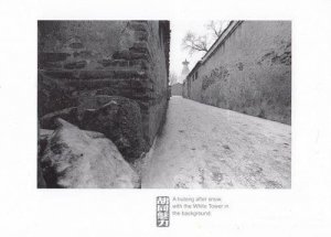 Beijing Hutongs Chinese Christmas Snow Postcard