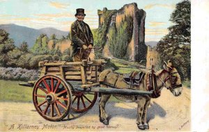 Irish Donkey Cart Killarney Motor Ireland 1910c postcard