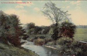 LP88  Schenectady, New York, NY, postcard, A Trout Stream, 
