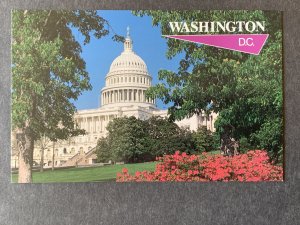 Washington DC Chrome Postcard H2271080353