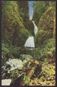 Wah-Kee-Nah Falls,Columbia River Highway Postcard BIN