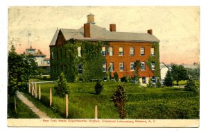 NY -  Geneva. Experiment Station, Chemical Laboratory circa 1908