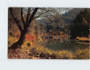 Postcard Autumn In The Feather River Country Of California