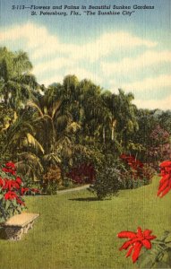 Florida St Petersburg Turner's Sunken Gardens Beautiful Flowers and Palm...