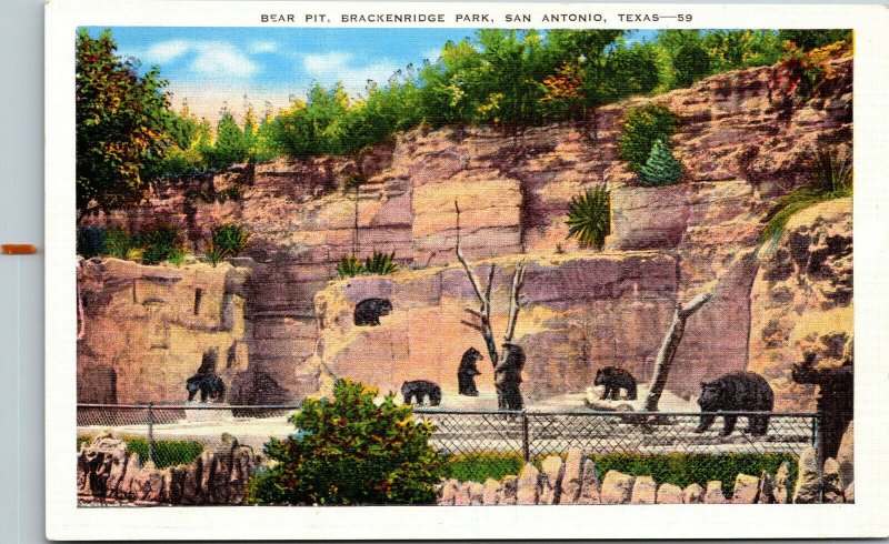 Vtg 1930s Bear Pit Brackenridge Park San Antonia Zoo Texas TX Unused Postcard