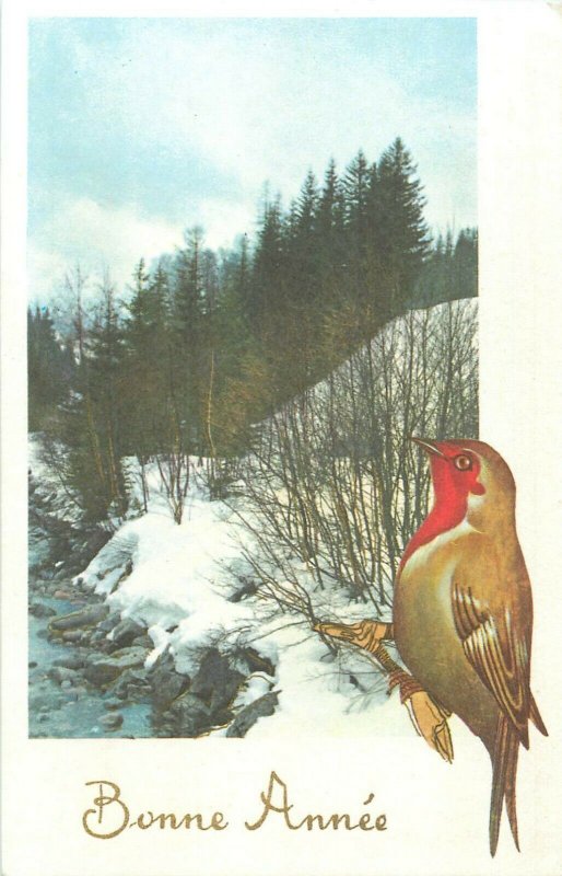 Winter seasonal greetings postcard landscape & bird New Year