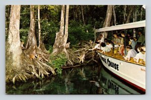 Silver Springs Florida Scenic Glass Bottom Boat Tours Chrome Postcard 