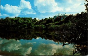 Lagoon Point Share Pembroke Bermuda Postcard Mike Roberts VTG UNP Vintage Unused 