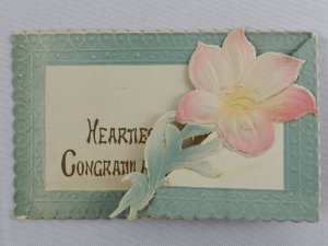 Heartiest Congratulations Bordered Foldout Pink Flower - Vintage Postcard