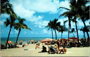 Lovely Florida Beach Coconut Palms Tropical Sky Ocean Breeze Unposted Vintage Po