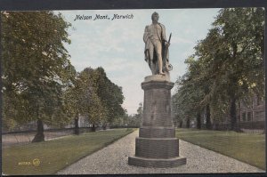 Norfolk Postcard - Nelson Monument, Norwich    A7425