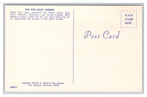 The Five Dairy Queens Foster Mothers Of The Human Race Postcard Cows