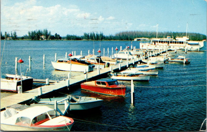 Vtg 1960s Yacht Basin Marina Old Boats Hollywood Florida FL Postcard