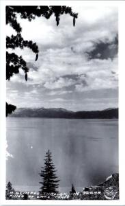 RPPC LAKE TAHOE, CA  Glimpse of TAHOE through SUGAR PINES 1949 Frasher Postcard