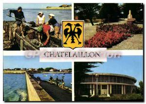 Modern Postcard Chatelaillon Scene Ostreicole boucholeurs