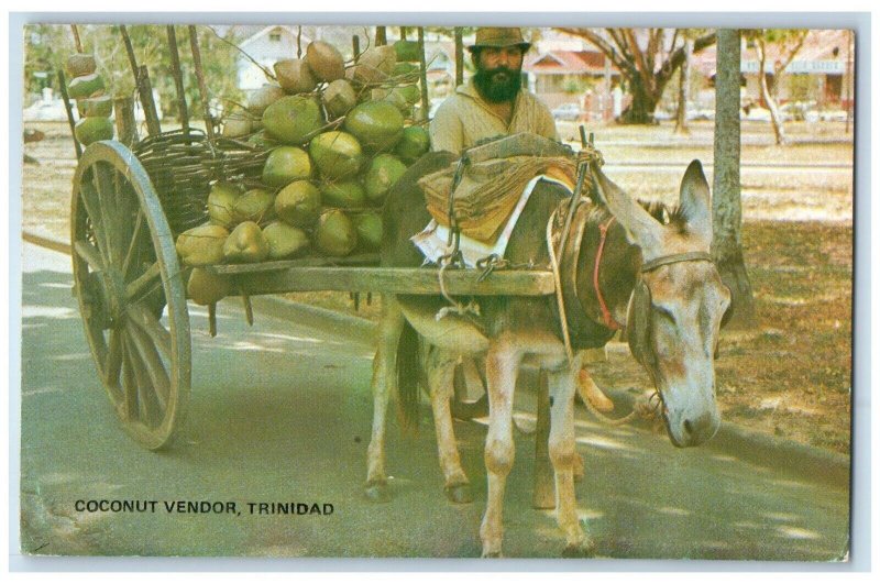 Scene Street Coconut Vendor Trinidad Port Of Spain Posted Vintage Postcard 