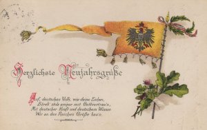 German WW1 1916 Military Flag Postcard