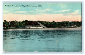 Vandercook's Lake Hague Park Jackson Michigan 1910 St. Johns Antique Postcard 