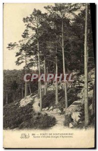 Old Postcard Fontainebleau Forest trail of Orphee Gorges of Apremont