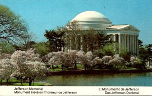 Washington D C The Jefferson Memorial At Cherry Blossom Time