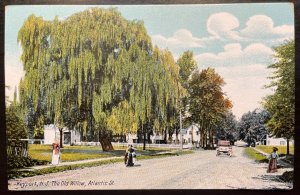 Vintage Postcard 1907-1915 The Old Willow, Atlantic Street, Keyport, New Jersey