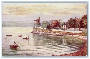 c1910 Boat Fishing, Cork Blackrock Castle Ireland Oilette Tuck Art Postcard 