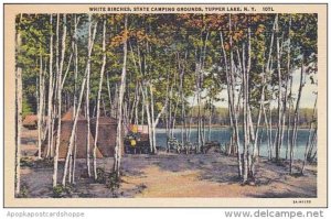New York Tupper Lake White Birches State Camping Grounds