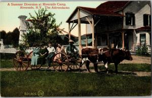 Riverside Camp, Riverside NY Adirondacks Riding Wagon Cart Oxen Vtg Postcard O01
