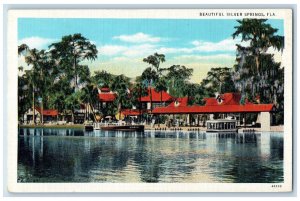 c1930's Electric Drive Glass Bottom Boats, Beautiful Silver Springs FL Postcard 