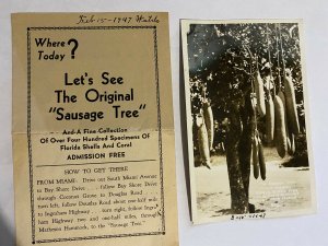 Vtg Travel Brochure & RPPC - Coconut Grove Florida - The Sausage Tree 1947 