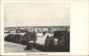 Ashton ON Ontario Birdseye View c1910 Postcard jrf