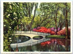 M-80996 Magnolia Gardens Charleston South Carolina