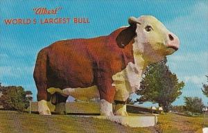 Albert World's Largest Bull Audubon Iowa