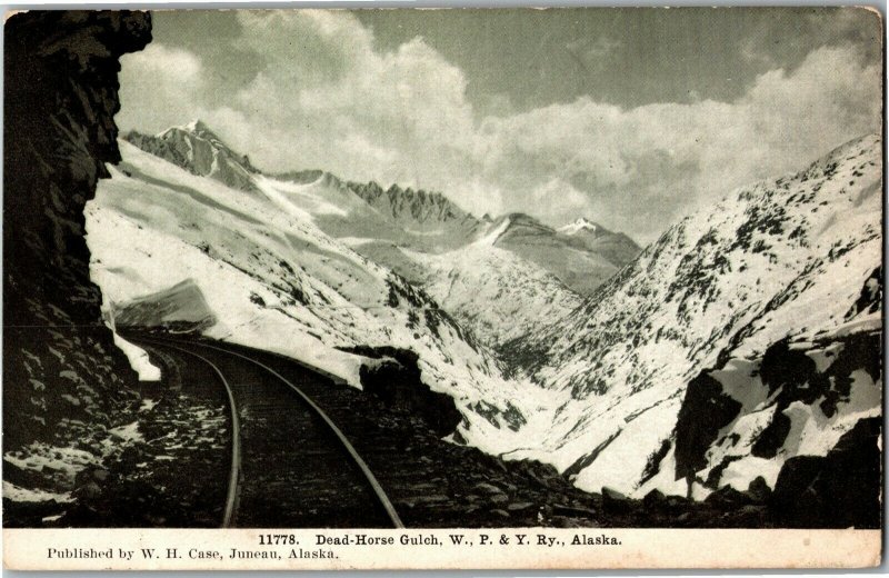 Dead Horse Gulch, White Pass & Yukon Railway AK WP&Y Vintage Postcard D67