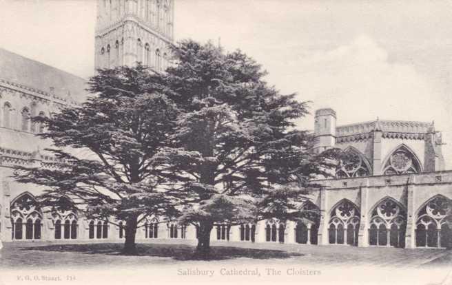 Salisbury Cathedral - The Cloisters - Wiltshire, England - UDB