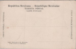 Mexico Vista de Guadalupe Hidalgo Postcard C346