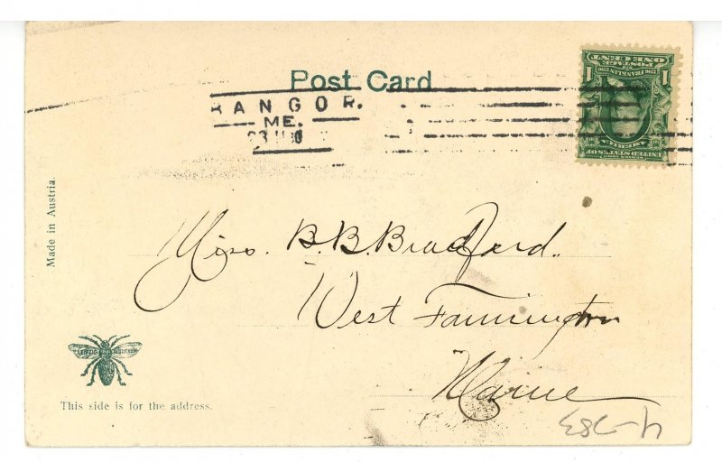 ME - Northport. Camp Ground, Lower Broadway