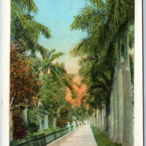 1922 Fort Myers, FL Royal Palms Hotel Curt Teich CT Art Linen Postcard Fla. A203